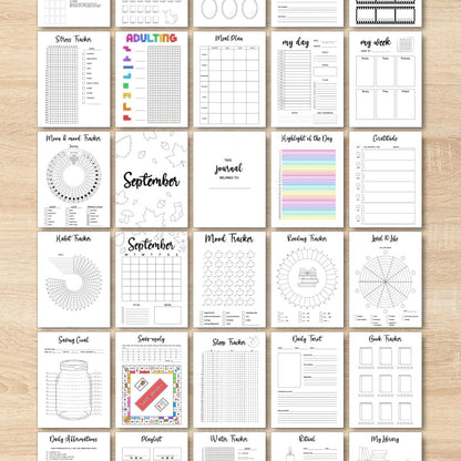 2025 Mega Journal Bundle